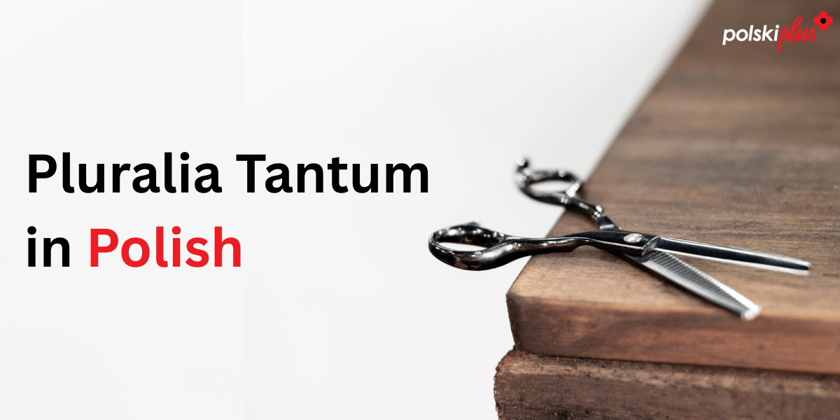 Pluralia Tantum In Polish