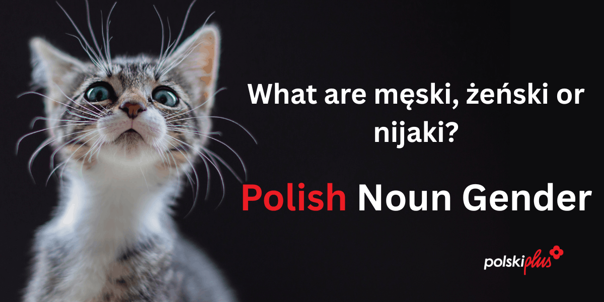 The Mysterious World Of Polish Noun Gender. What Does It Mean That Something Is Męski, Żeński Or Nijaki? 3 Polish Noun Gender